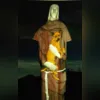 Imagem ilustrativa da imagem Vira-lata caramelo é abraçado pelo Cristo Redentor; vídeo