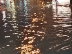 Chove forte e bate o medo: saiba o que é a ecoansiedade