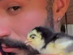 Pintinho nasce com sobrancelha e diverte a web; vídeo