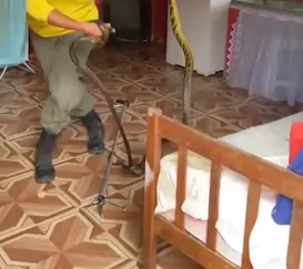 Casal encontra cobras acasalando embaixo da cama; vídeo