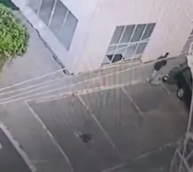 Criança de 4 anos é arremessada do 5º andar de prédio