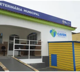 São Gonçalo tem 730 vagas para castração gratuita de cães e gatos