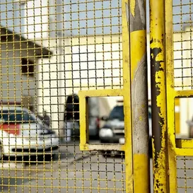 Adolescente estupra irmão de 5 anos a pedido de adulto em app