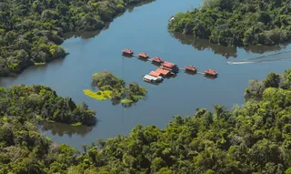 Imagem ilustrativa da imagem Campanha da Fraternidade pede mais consciência ambiental