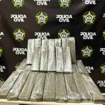 Imagem ilustrativa da imagem Grupo é preso com droga destinada ao tráfico no Rio