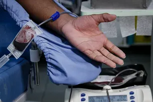 Imagem ilustrativa da imagem Hospital do Rio faz campanha de doação de sangue; veja datas