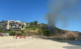 Imagem ilustrativa da imagem Incêndio atinge mata em praia de Niterói; vídeo