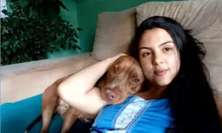 Imagem ilustrativa da imagem Pitbull mata tutora dentro de casa e é assassinado por vizinhos
