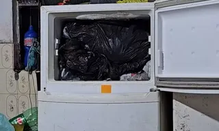 Imagem ilustrativa da imagem Veja a casa macabra com animais no freezer na Região dos Lagos