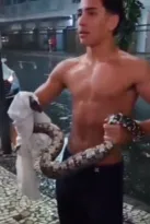 Imagem ilustrativa da imagem Vídeo: cobra sai de bueiro e assusta pedestres no Rio