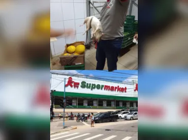 Funcionários tentam capturar o roedor na frente de clientes