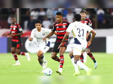 Imagem ilustrativa da imagem Flamengo tem jogo decisivo com a LDU na Libertadores