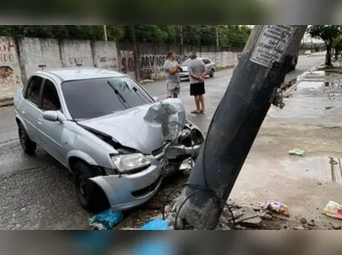 Quase 70 animais são salvos diariamente em áreas urbanas do Rio