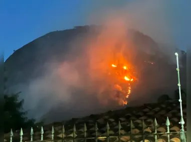 Área de mata ficou destruída pelo fogo no bairro Maceió; provocar incêndios é crime ambiental