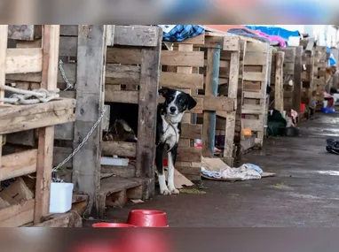 Trânsito lento na pista sentido Rio causa reflexos nos acessos