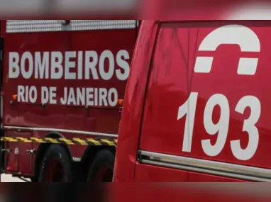 Cobra media mais de 2,5 metros de comprimento