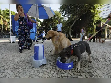 Fiscalização aconteceu no entorno da Lagoa Rodrigo de Freitas