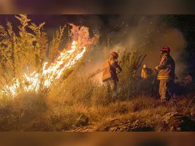 Avião da Latam ficou com o bico destruído após colisão com uma ave