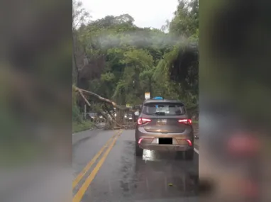 Imagem ilustrativa da imagem Temporal em Niterói: veja os estragos na cidade