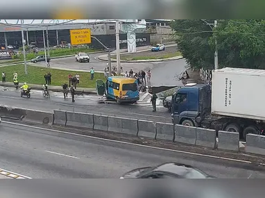 Quase 70 animais são salvos diariamente em áreas urbanas do Rio