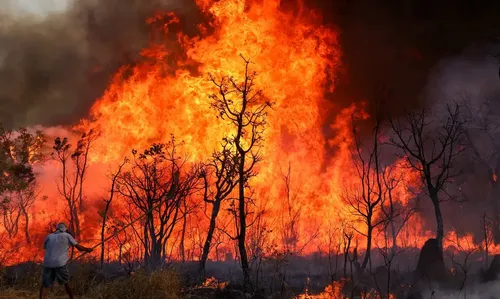 Corpo de Bombeiros orienta a população a adotar cuidados para evitar incêndios florestais