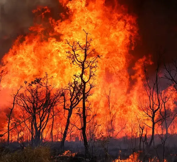 Incêndios em alta no Rio: aumento de 400% alerta autoridades