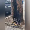 Ações aconteceram durante o fim de semana