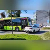 De acordo com os militares, o golfinho foi monitorado durante toda a ação de resgate
