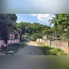 Zhaohu Qiu e Marcelle Júlia Araújo da Silva