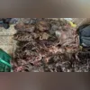 Imagem ilustrativa da imagem Dono de ferro-velho clandestino é preso durante operação no Rio