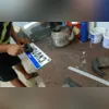As aves estavam dentro de caixas pequenas de papelão em condições que configuram maus-tratos