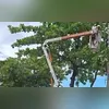 Imagem ilustrativa da imagem 'Gatos de luz' são flagrados em quiosques de praia em Niterói