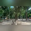 O evento é voltado para a saúde dos pets