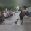 Neblina ao longo da RJ-104, entre Niterói e São Gonçalo