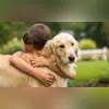 Imagem ilustrativa da imagem Por que ainda é tabu falar sobre a dor do luto por um pet?