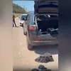 Imagem ilustrativa da imagem Presos três suspeitos de matar policial civil em Niterói; dois são PMs