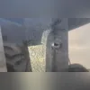 Policiais da 39ª DP (Pavuna) prenderam o acusado de aliciar menores