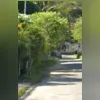 Imagem ilustrativa da imagem Troca de tiros com a PM deixa um baleado e outro apreendido em Niterói