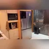 Imagem ilustrativa da imagem Vídeo mostra como é a mansão de traficante da Rocinha; veja