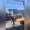 Imagem ilustrativa da imagem Vídeo mostra pânico em escola do Rio com invasão de pitbull