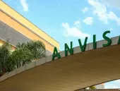 Anvisa proíbe venda de produtos à base de cannabis; saiba quais