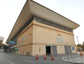 AquaRio de graça para aniversariantes de novembro; veja regras