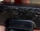 Bolsonaro afirma que tentou tirar tornozeleira com solda