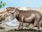 Mamífero de Itaboraí com 55 milhões de anos é destaque no mundo