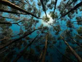 Meio Ambiente: dicas simples na rotina que fazem toda a diferença