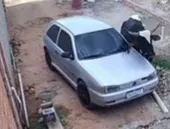 Vídeo: boi solto empurra carro, corre atrás de família e causa destruição