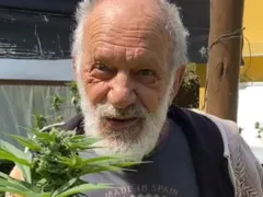 Ator de 'A Viagem' tem plantação de maconha investigada