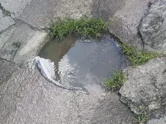 Bueiro transborda há duas semanas em Niterói: 'Vergonhoso'