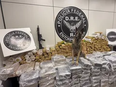 Caminhoneiro é preso com quase 1 tonelada de maconha e fuzil