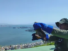 Carcará Branco é resgatado em Niterói e devolvido à natureza